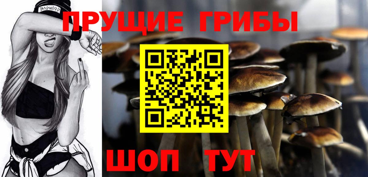 Псилоцибиновые грибы MAGIC MUSHROOMS Нерюнгри
